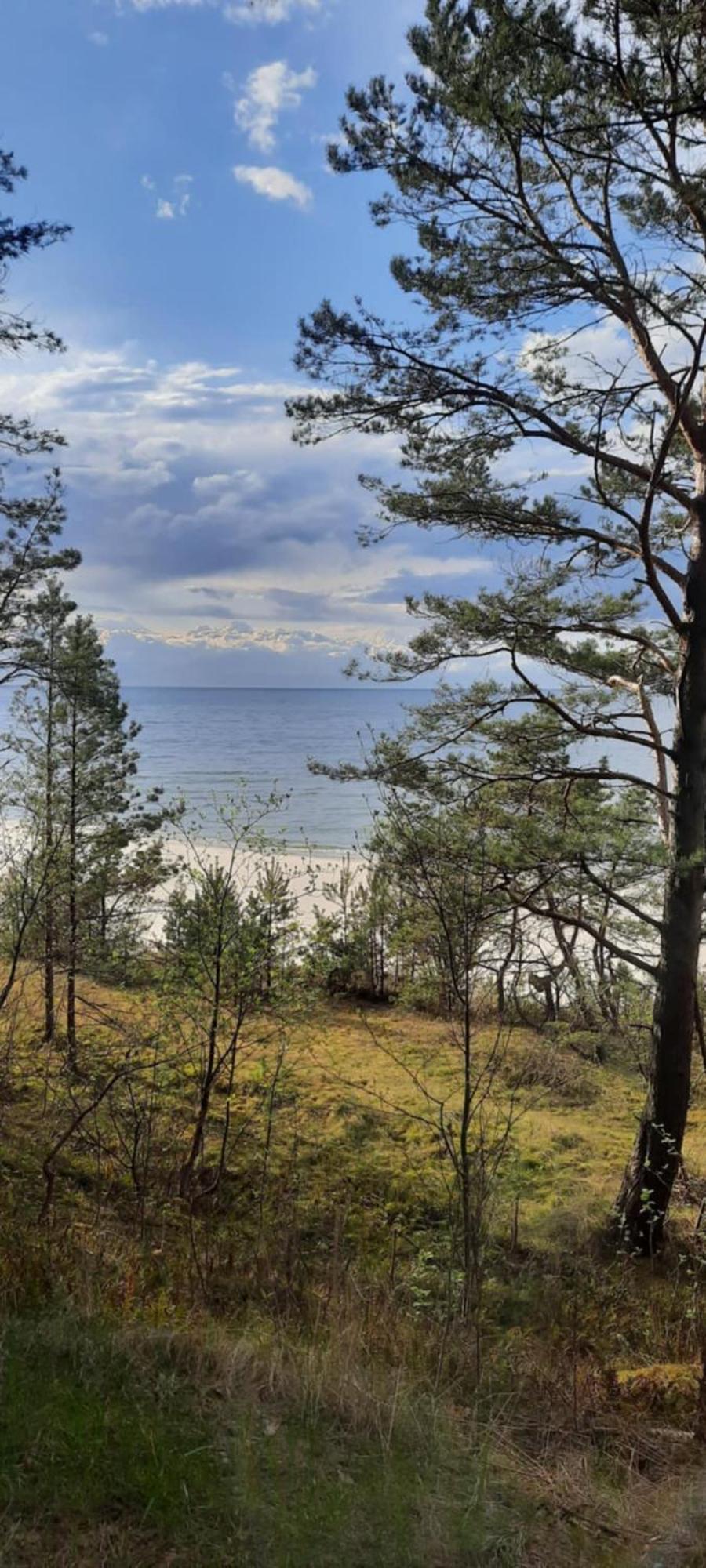 Pokoje Goscinne Nord Krynica Morska Exteriér fotografie
