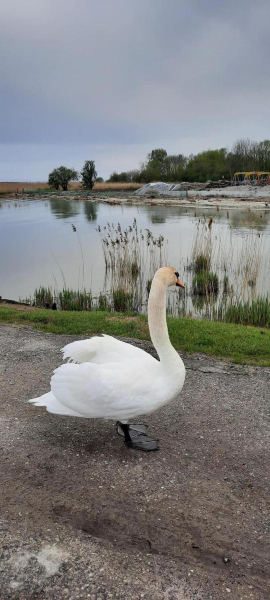 Pokoje Goscinne Nord Krynica Morska Exteriér fotografie