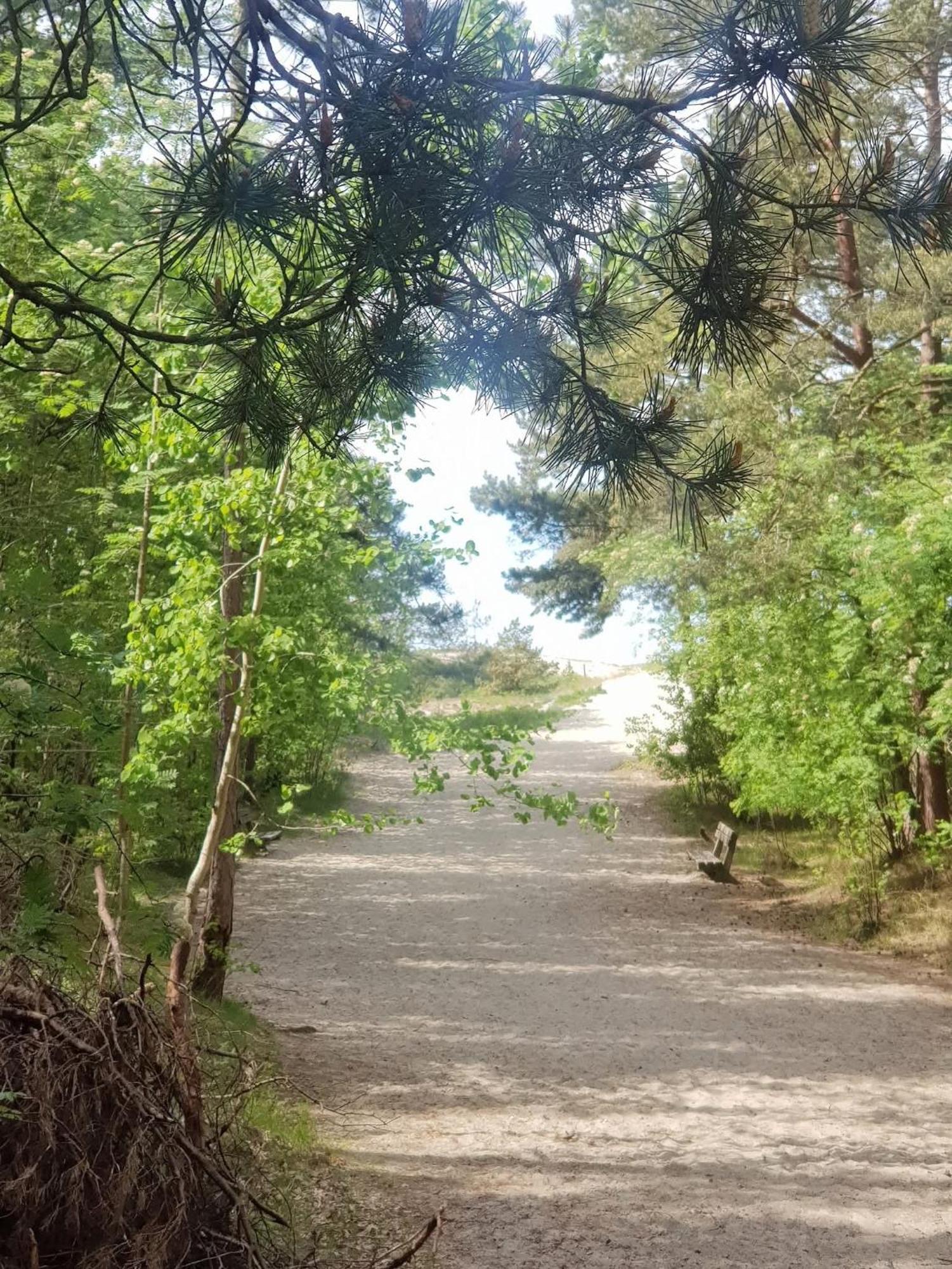 Pokoje Goscinne Nord Krynica Morska Exteriér fotografie