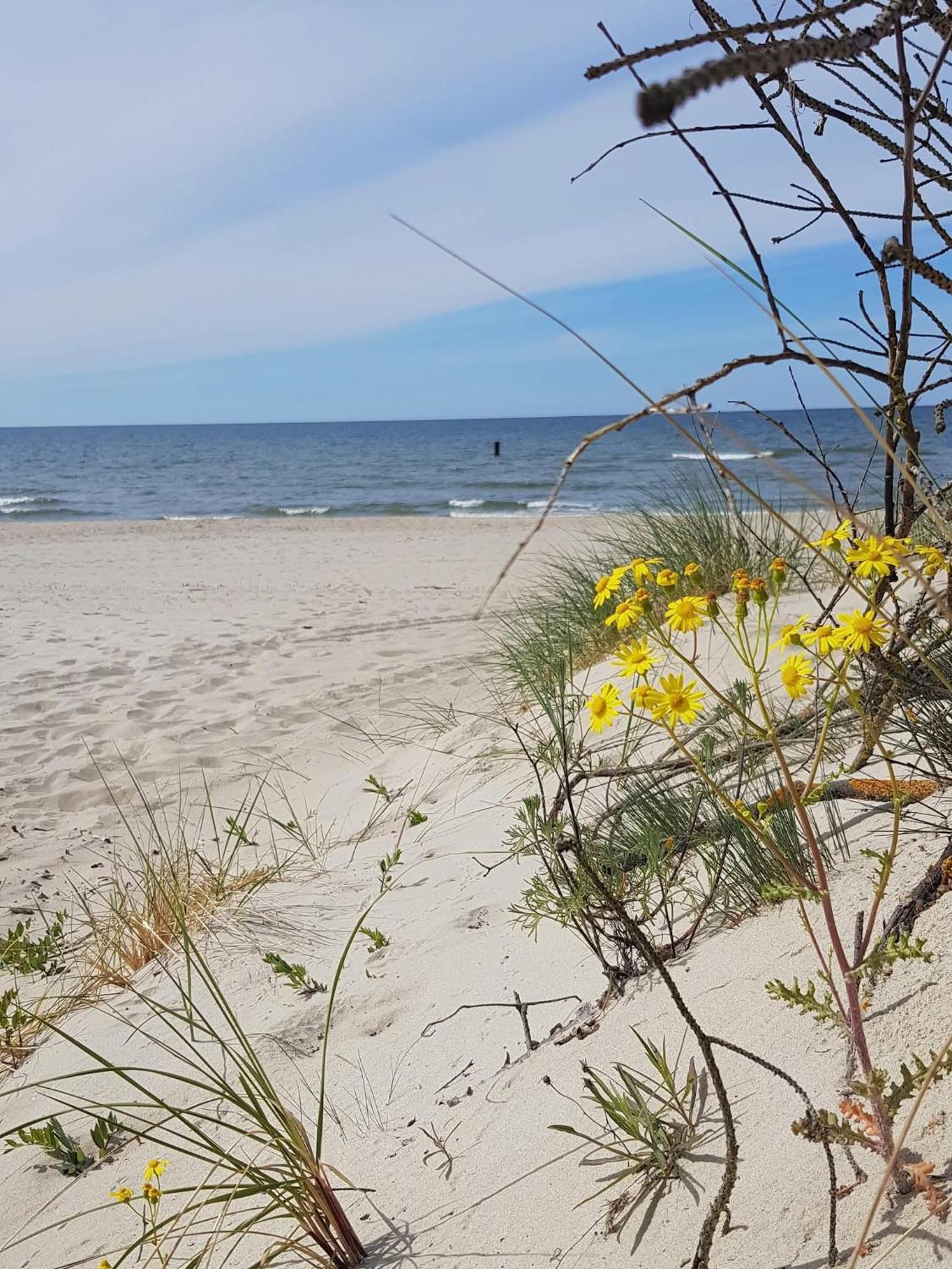 Pokoje Goscinne Nord Krynica Morska Exteriér fotografie